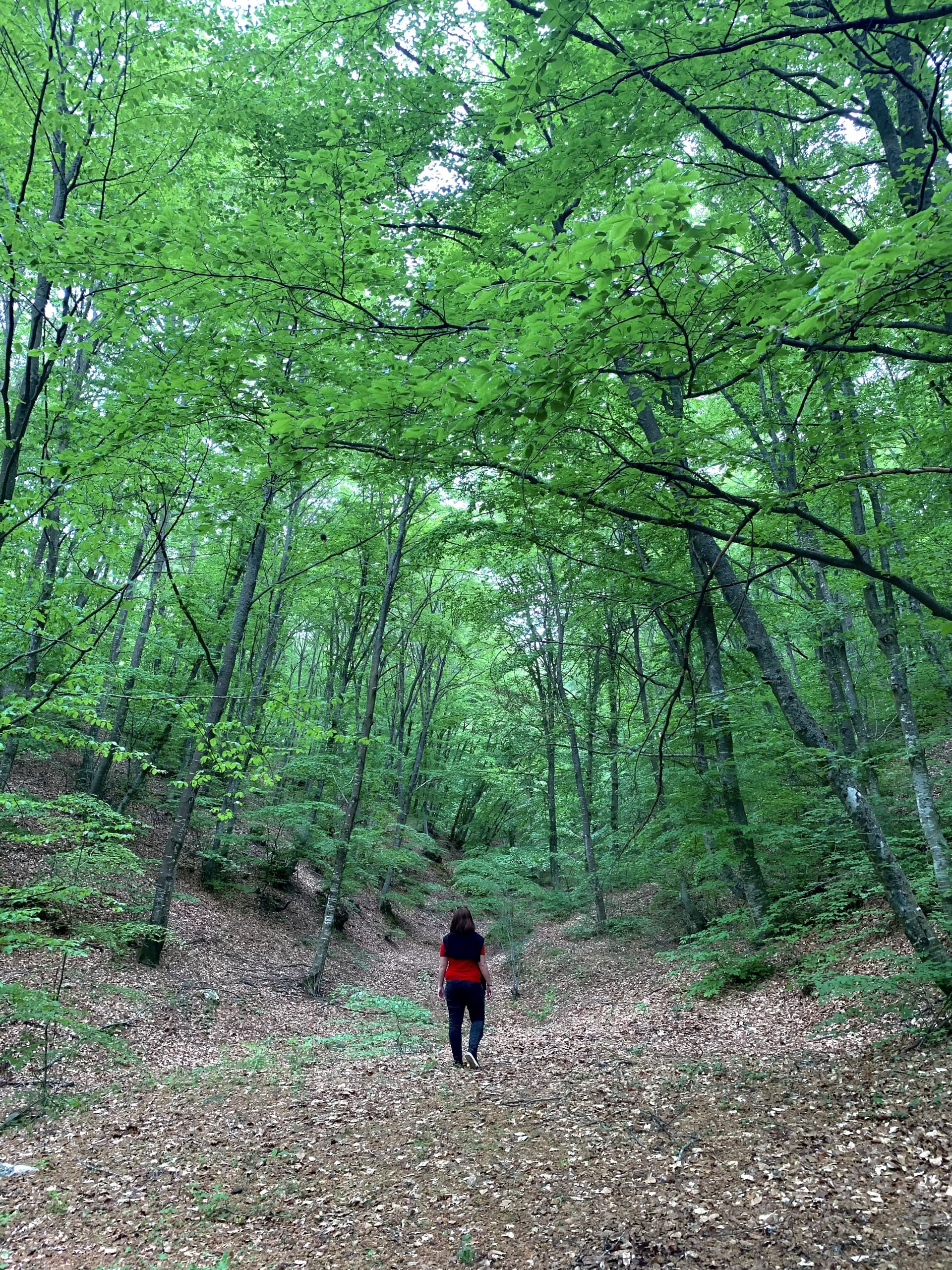 The winner of the “Green Creativity” competition!