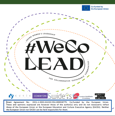 WeCoLead Inspiration Activity Chart for Environmental Sustainability
