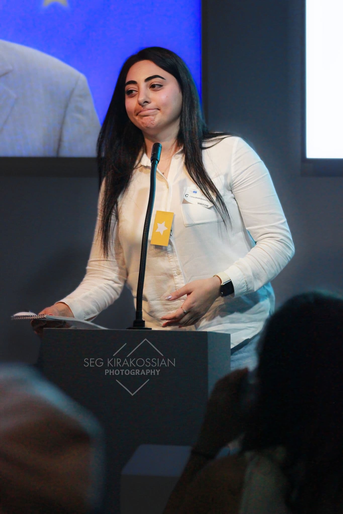 EU Decision-Making Simulation